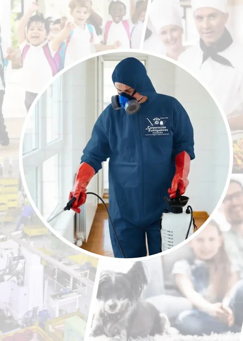 Fumigación residencial, comercial, industrial. 100% garantizado