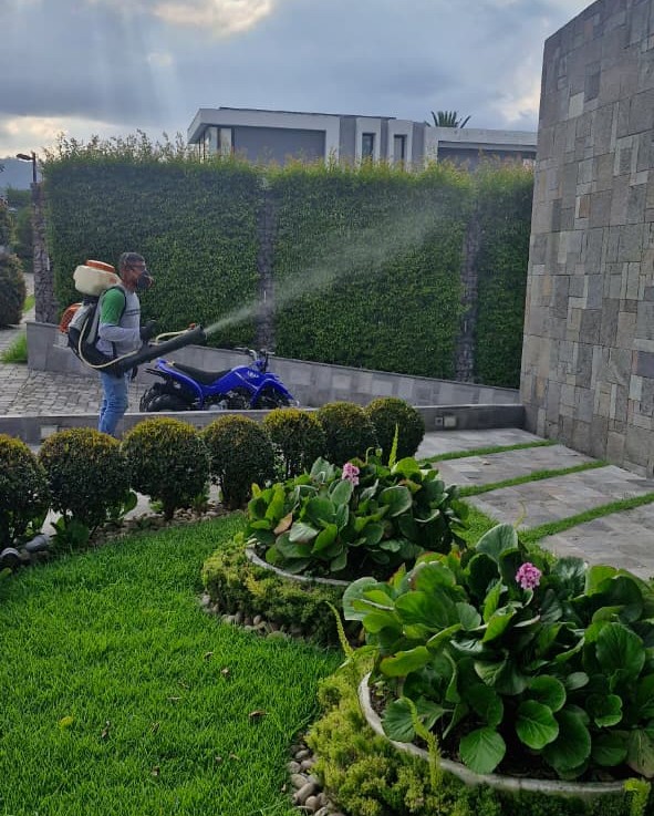 Fumigación de cucarachas