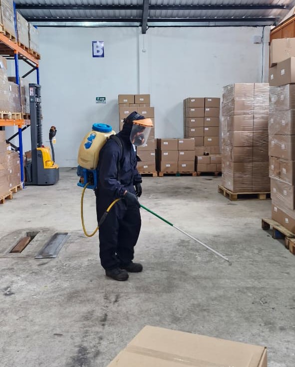 Fumigación profesional